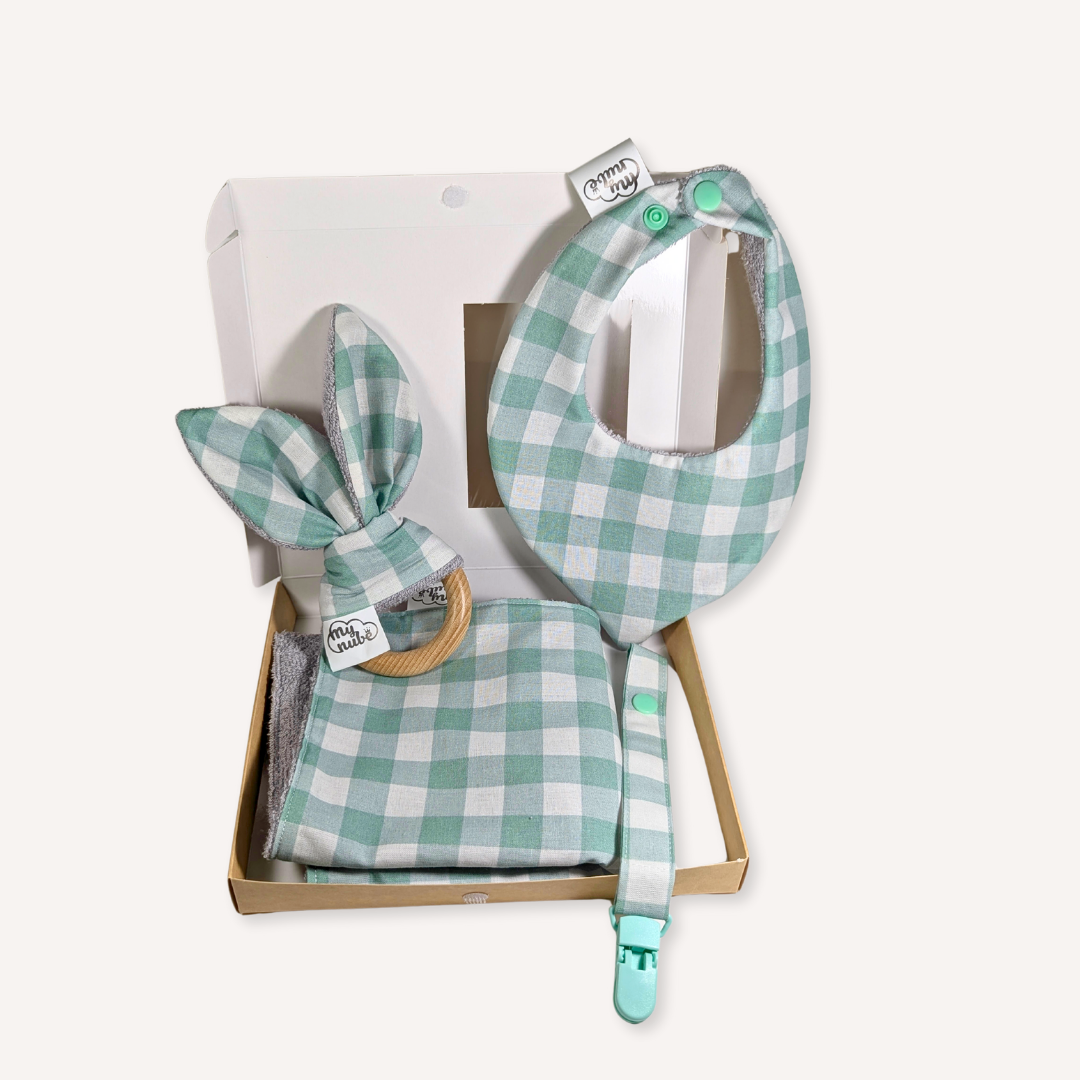 Canastreta de Vichy mint per a Nadons